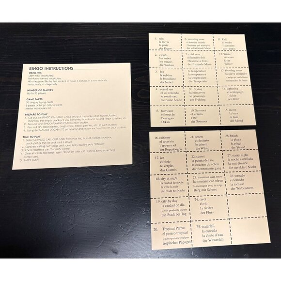 Bilingual Bingo Game Learning Seasons & Weather Vocabulary Spanish French German - Picture 6 of 6
